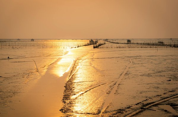 Comment organiser une croisière pour découvrir les traditions de la poterie en Grèce?