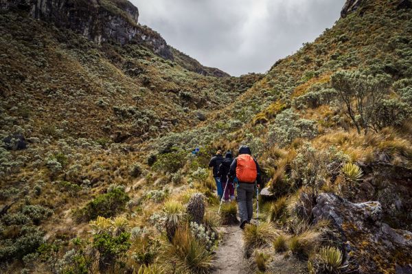 Quels sont les conseils pour une randonnée dans les montagnes de Rwenzori, Ouganda?