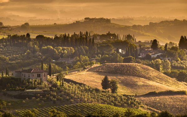 Où trouver une maison de vacances en Toscane avec des ateliers de cuisine et des visites de vignobles?